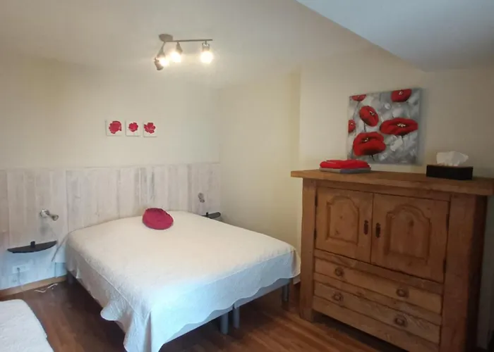 D'hotes Le Patio D'alain Et Veronique * Lunéville